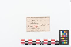 Etikett zu Bronzebrillenfibel (NHMW-PRAE-025432)
